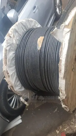 Armoured Cable 10.0 2core
