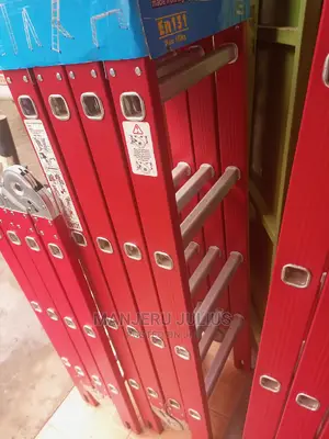 4.7 Meters (16ft) Multipurpose Ladder