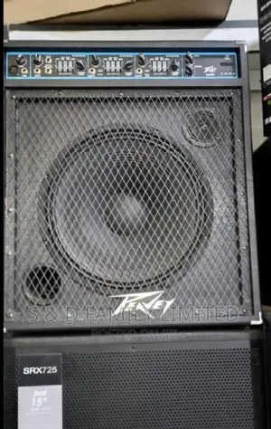 Peavey Solo Guitar Amplifier