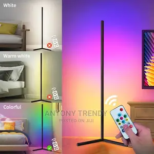 Dimmable RGB Corner Floor Lamp