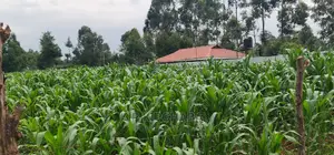 Plots for Sale in Mailli Nne Eldoret.
