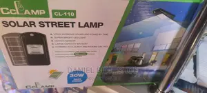 CL House/Street Lamp 30w Rain Proof
