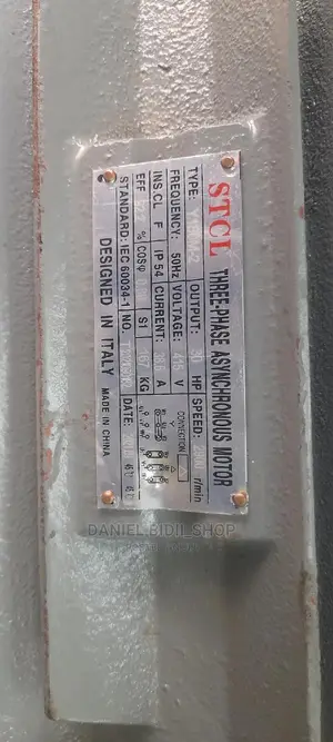 Italy 3phase Asynchronous Motor 30hp