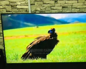 Smart Tv TRINITY 50