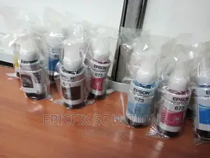 6epson 673 Ink