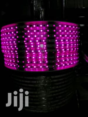 Snakelights Strip Lights Gypsam Lights Decor Lights