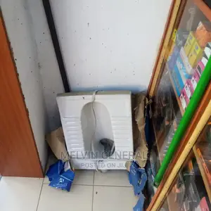 Step Up Toilet