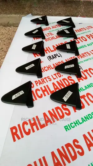 Side Mirror Finishers Aqua 2013