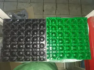 Green And Black Trays