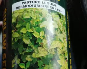 Desmodium Green Leaf-Pasture Seeds.