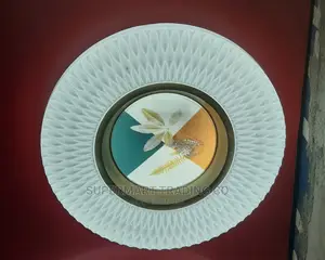 Ceiling Light