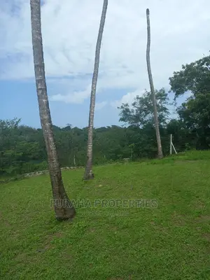 For Sale 5.4 Acres Creek Land Mtwapa.