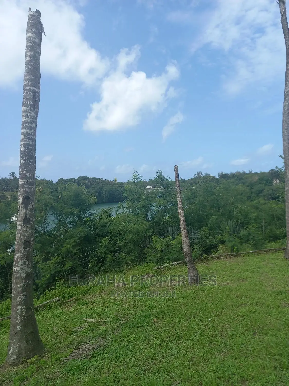 For Sale 5.4 Acres Creek Land Mtwapa.