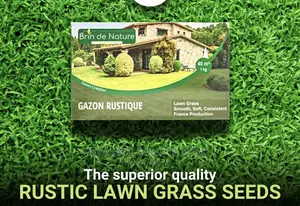 Brin De Nature Lawn Grass Gazon Rustique