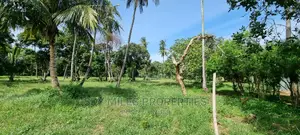 A Parcel of 4 Acre Land Nice for Subdivision on Sale Mtwapa