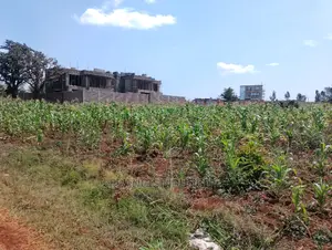 40x80 Plot in Kiora Estate Gated Community Kirigiti Migaa Rd