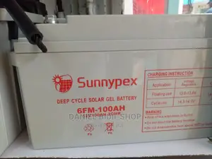 Sunnypex 100ah 12v Solar Backup Battery