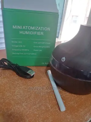 Mini Humidifier 300ml