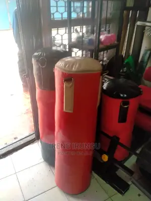 Punching/Gym Bag
