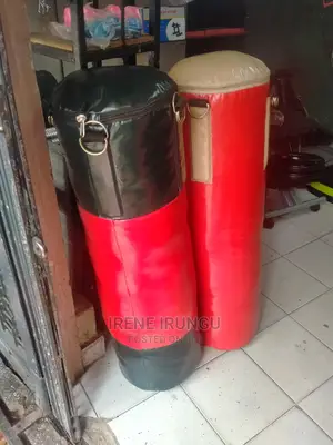 Gym Boxing Bag/Punching