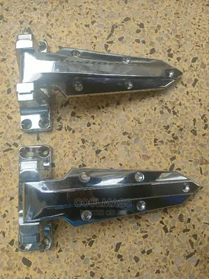 Coldroom Hinges
