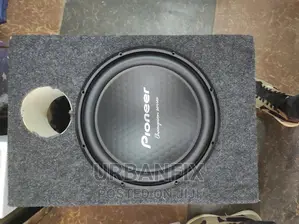 1500 Watts Pioneer Champion Series Subwoofer With Cabinet