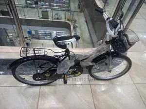 Lion King Bicycle 20"