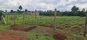Prime 1⁄4 Plot for Sale in Racecourse Elgongiew in Eldoret