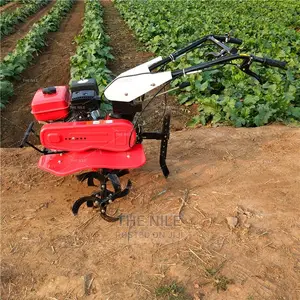 6 Horsepower Microcultivator