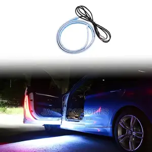 Car Flashing Door Lights