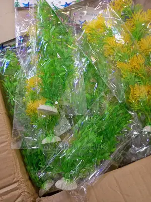 Aquarium Plants