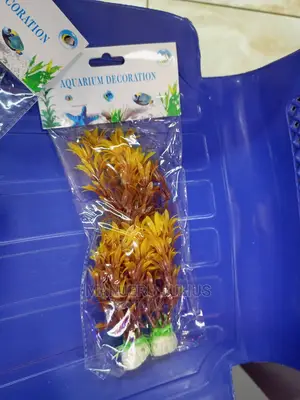 Aquarium Plants