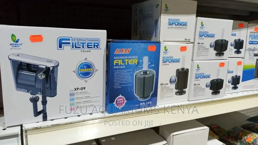 Filter Sponge