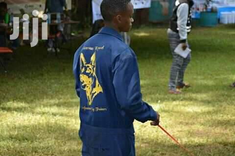 Dog Trainer