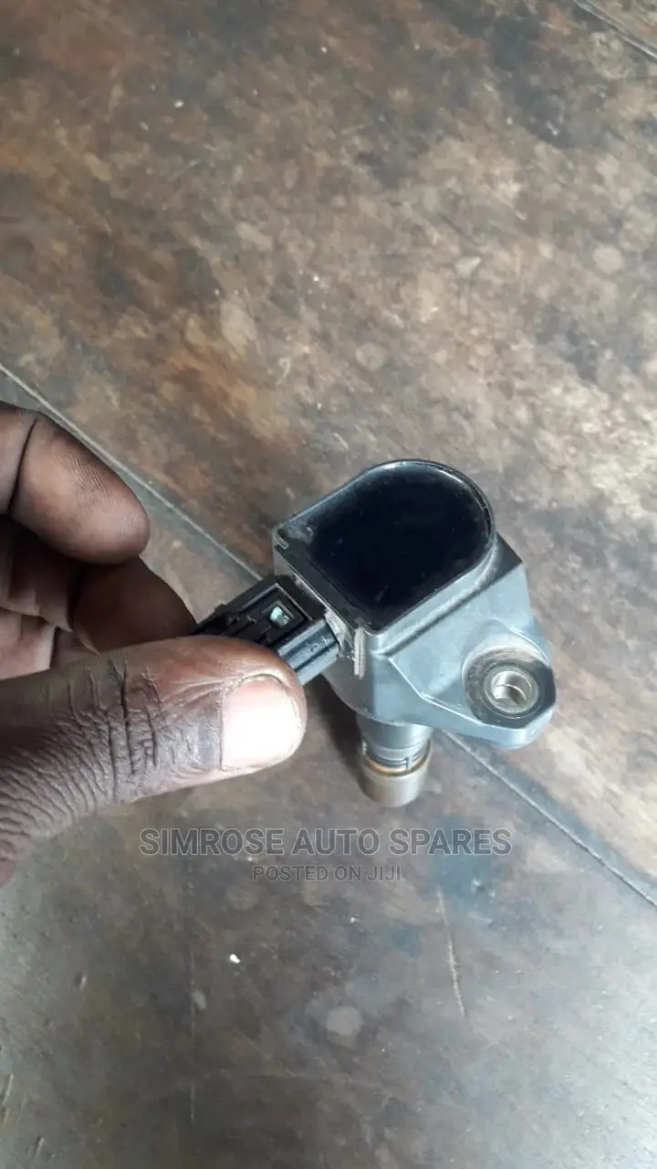 Coil for Honda Rm1