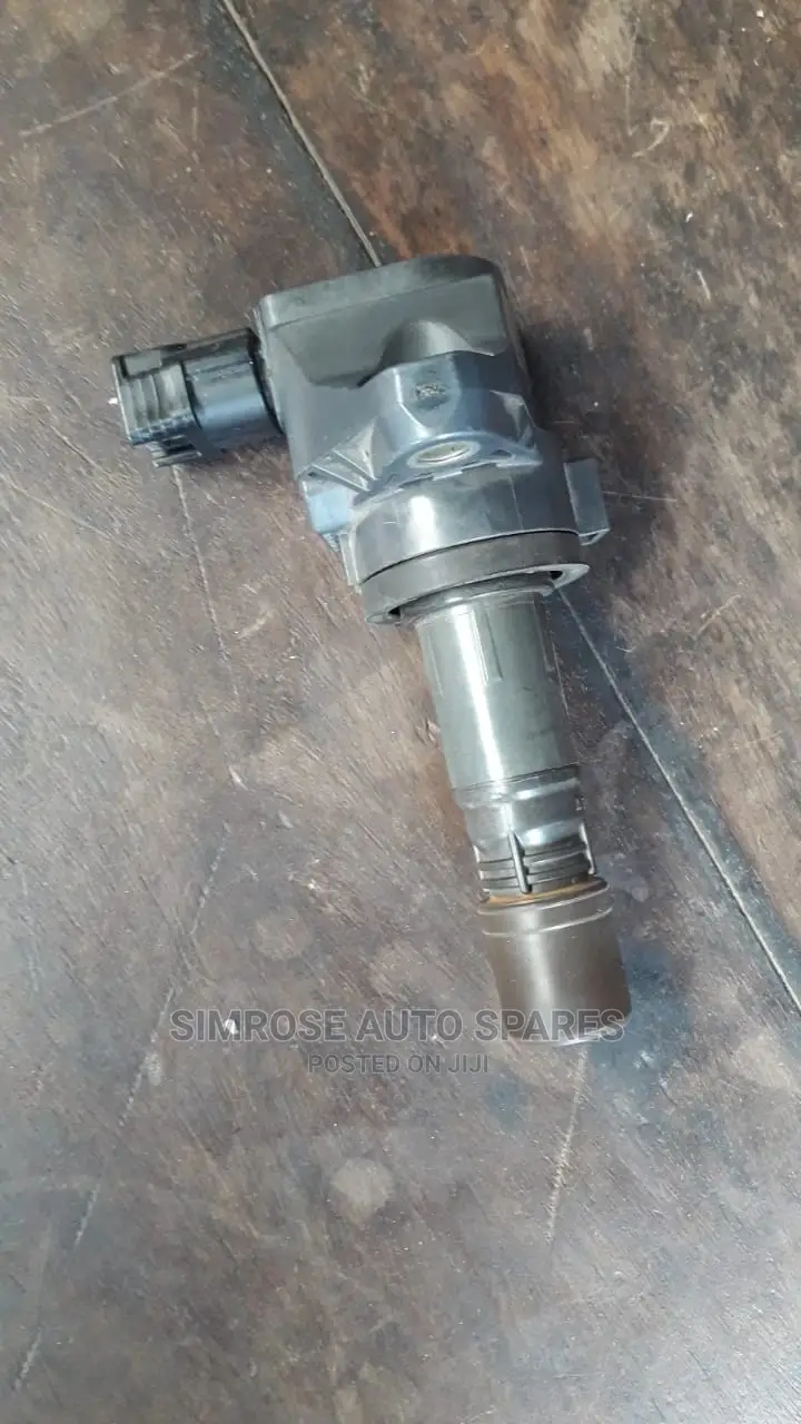 Coil for Honda Rm1