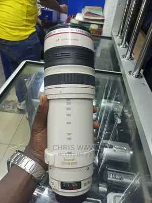 Canon 100-400mm Lens