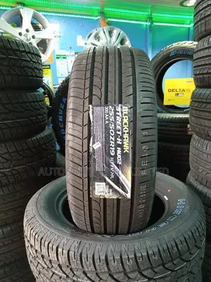 255/50r19 Blackhawk Tyre
