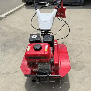 Small Micro Tiller With Two Drives