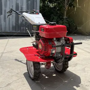 Small Micro Tiller With Two Drives