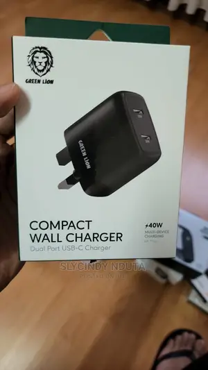 Green Lion Compact Wall Charger