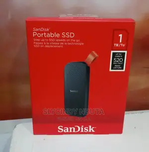 Sandisk 1tb SSD Portable
