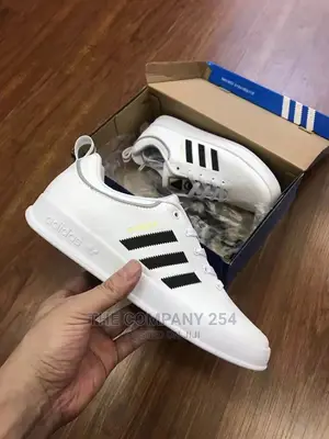 Quality Assorted Urban Sneakers