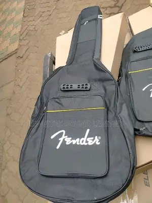 Fender Semi Guitar