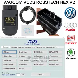 VW Audi Vagcom VCDS Rosstech Hex V2 Diagnosis OBD2 VCI