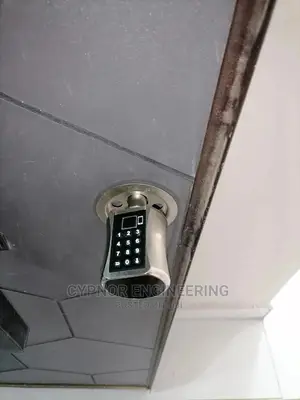 Wifi ,Fingerprint Door Locks