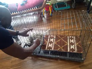 German Spitz Dog Crates