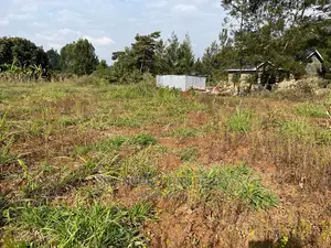 Residential Plot in Kikuyu, Kamangu Karai (Migumoini Area)