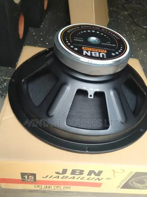 Jbn Professional Naked Speaker 550 Watts