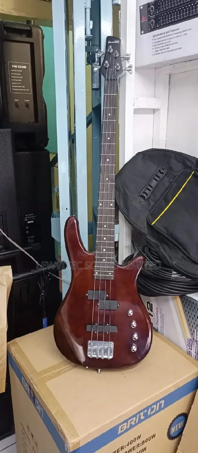 4 Strings Guitar